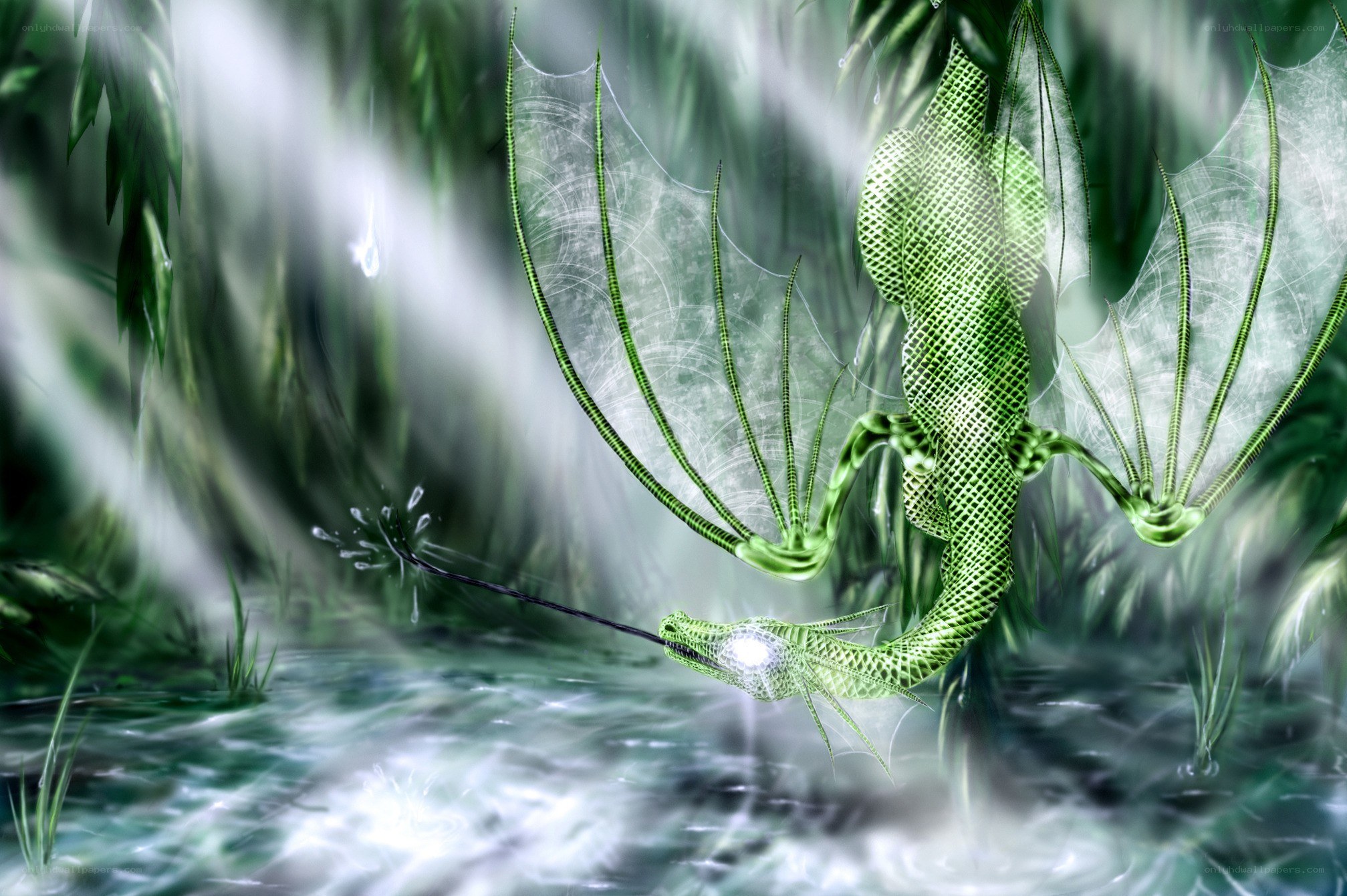 Green dragon in misty forest