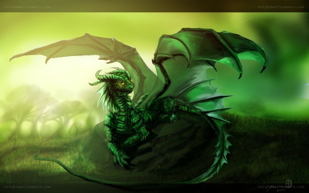 green dragon in misty forest