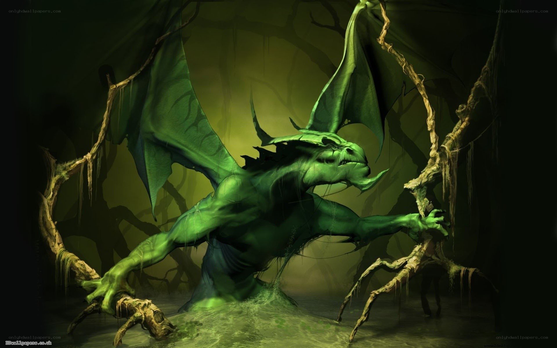green dragon in swamp