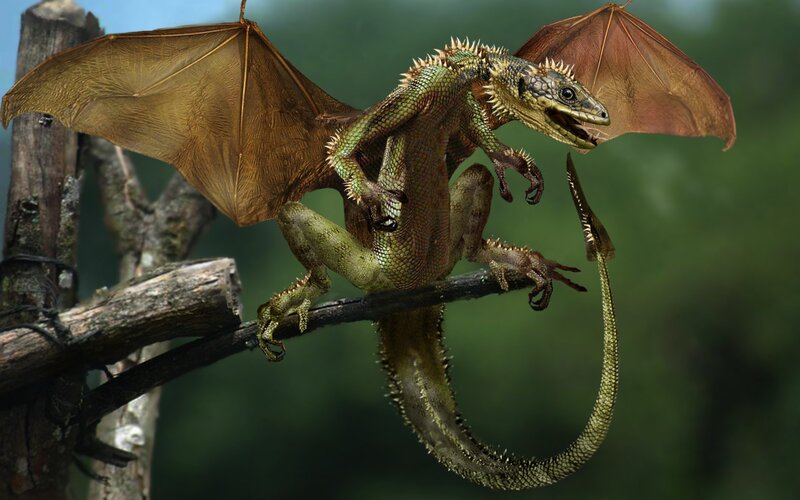 Green Dragon on Branch — Dramatic, Digital Art