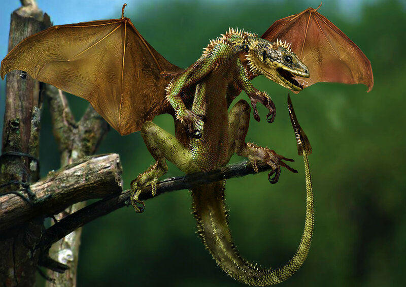 Green Dragon on Branch — Dramatic