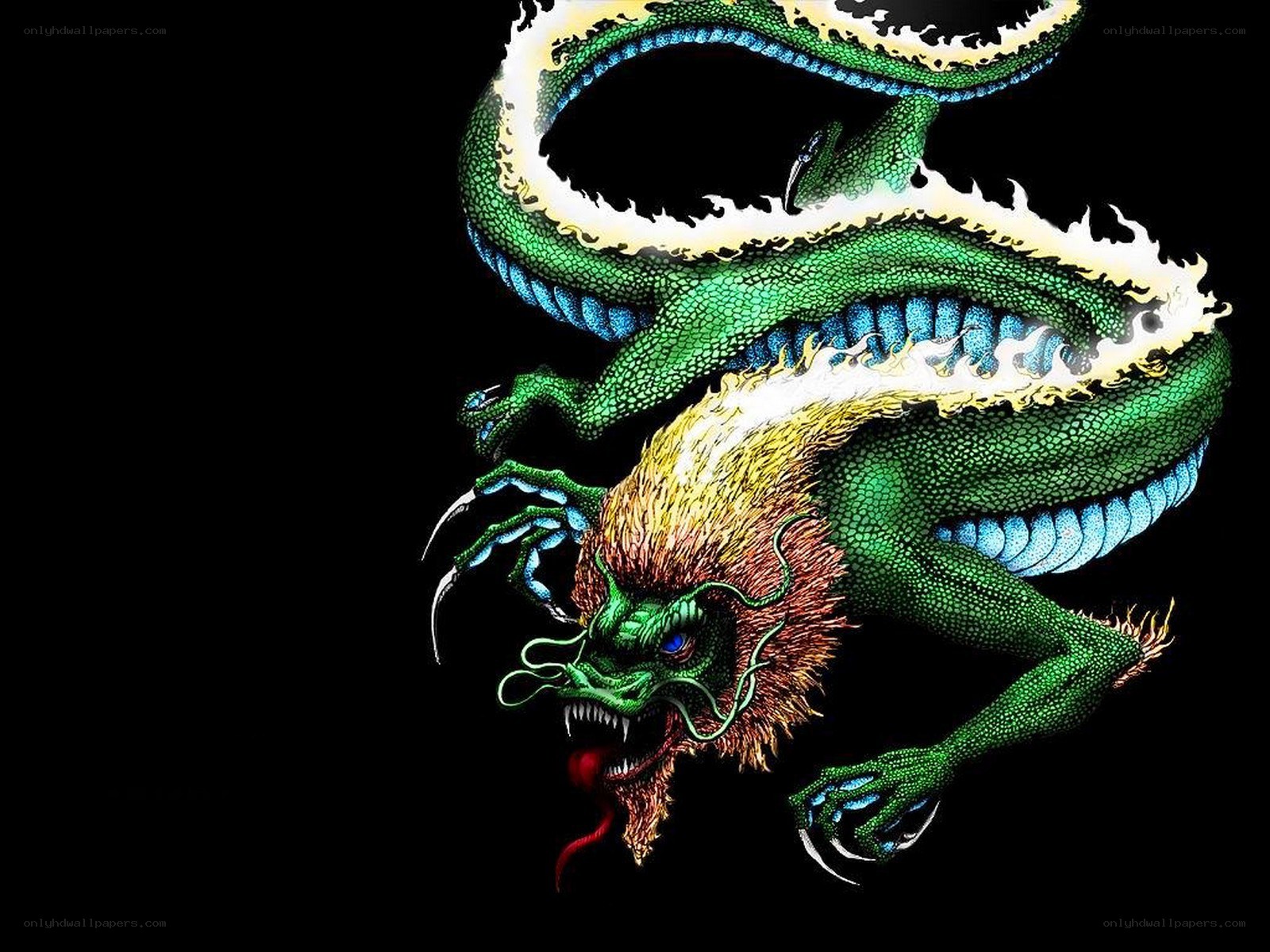 green dragon with fire
