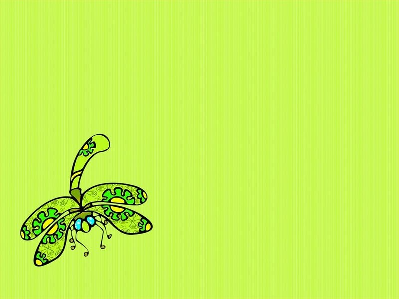 green dragonfly illustration