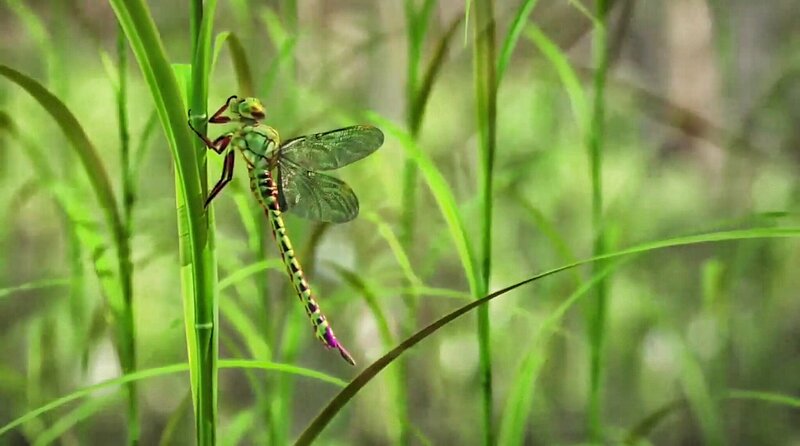 Green Dragonfly on Stem