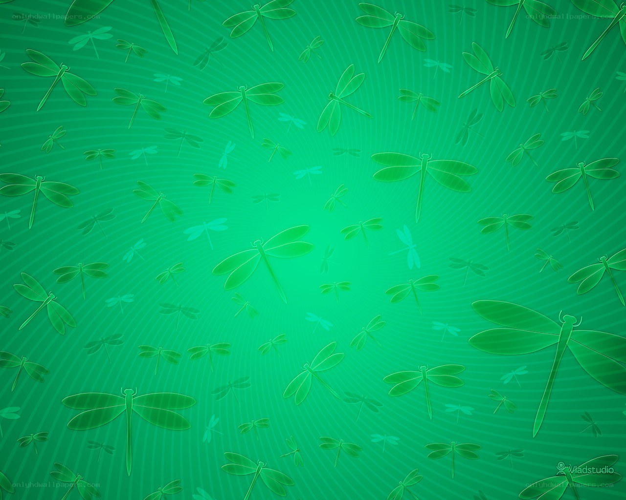 Green dragonfly pattern background