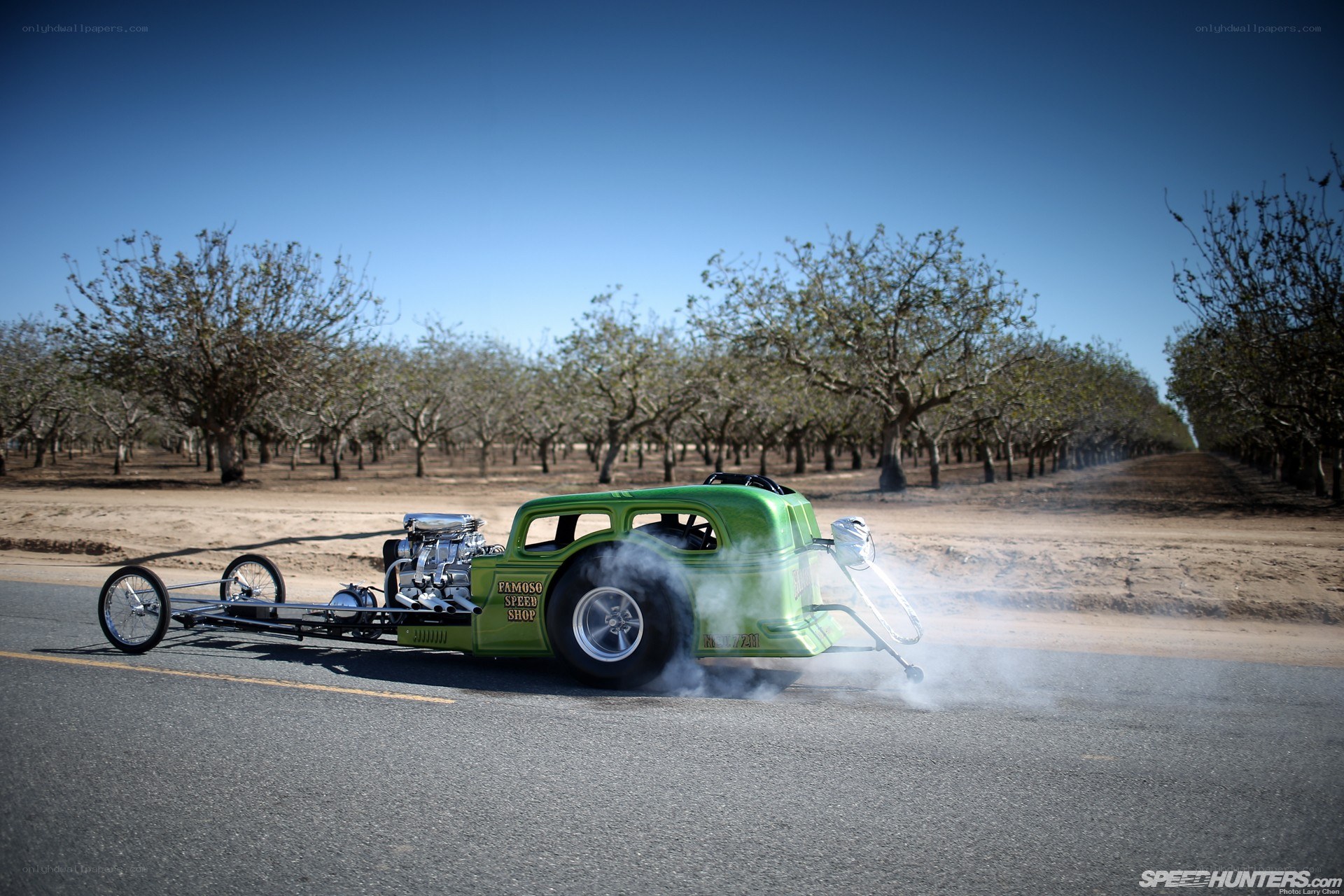 green dragster in orchard