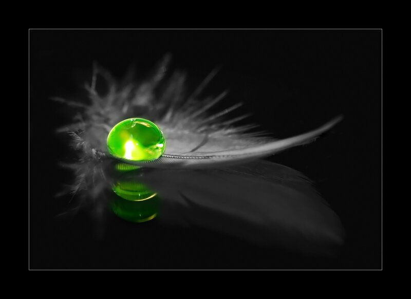 Green Droplet on Feather