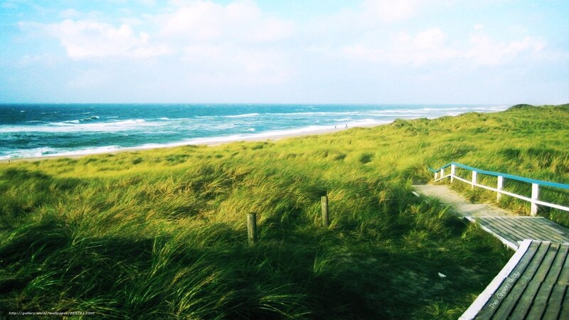 Green Dunes by Ocean