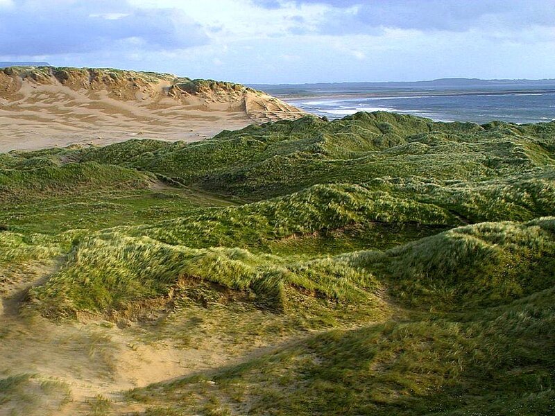 Green Dunes by the Sea