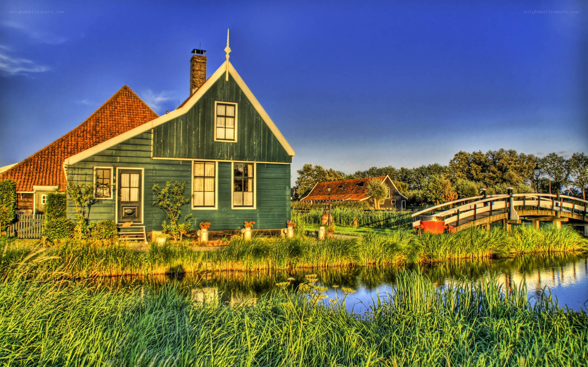 Green Dutch house by canal