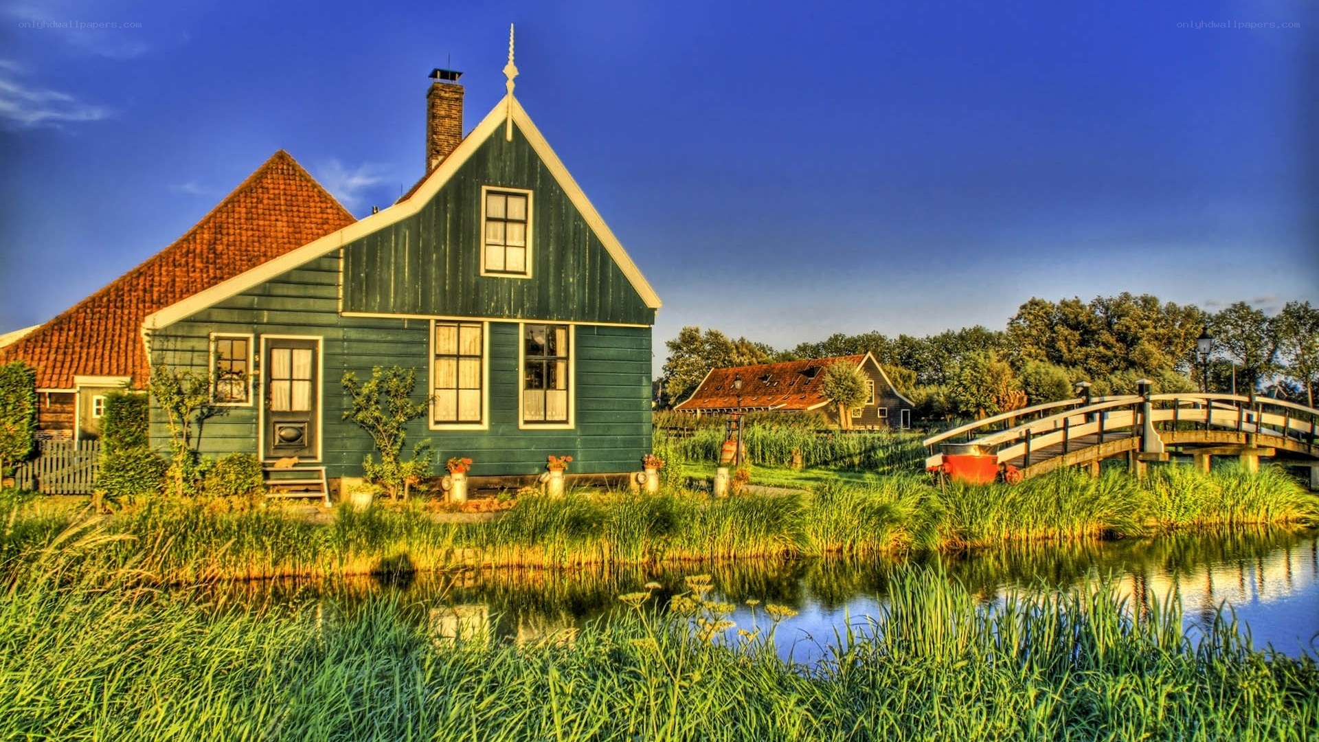 Green Dutch house by canal