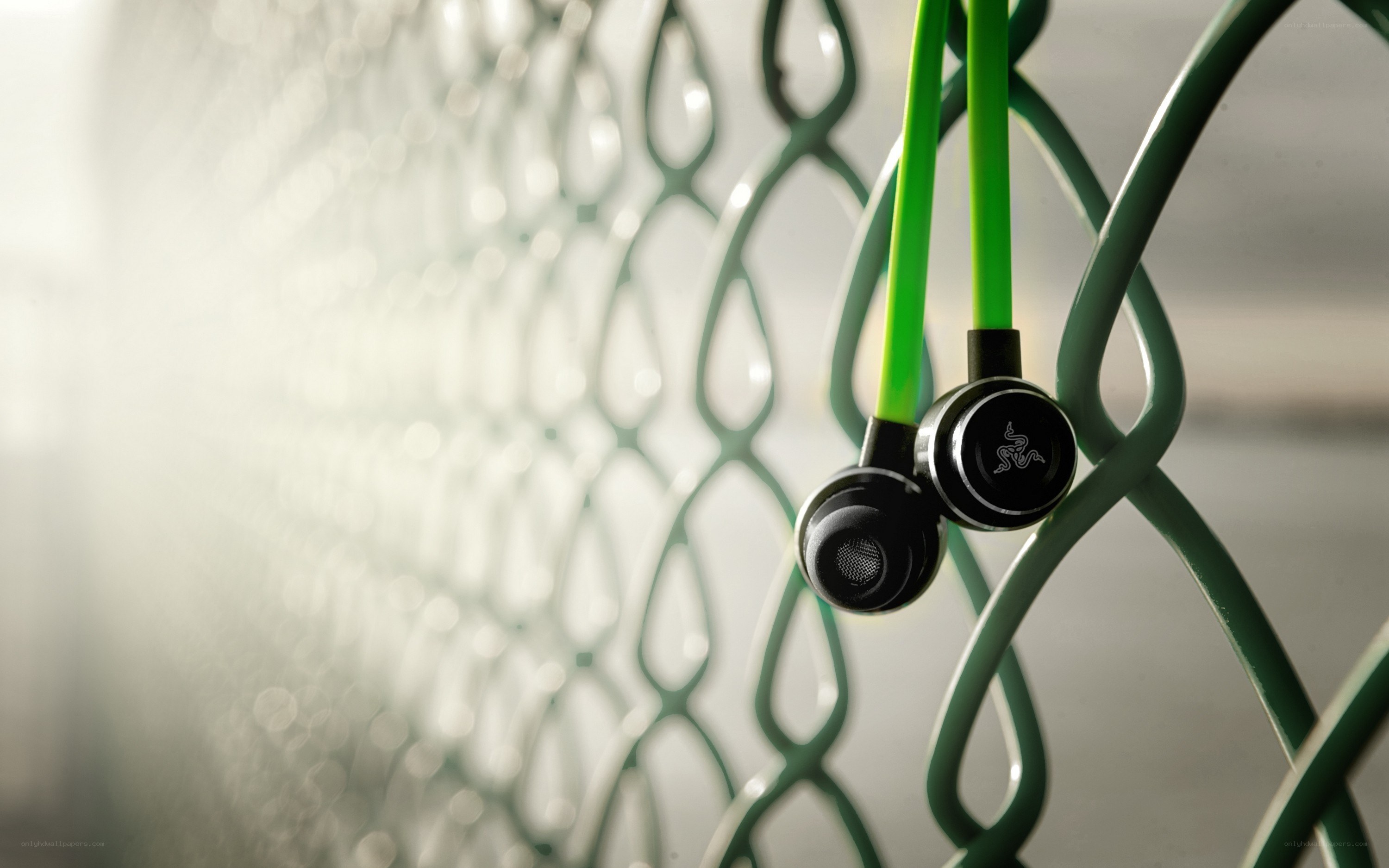 Green earbuds on a fence