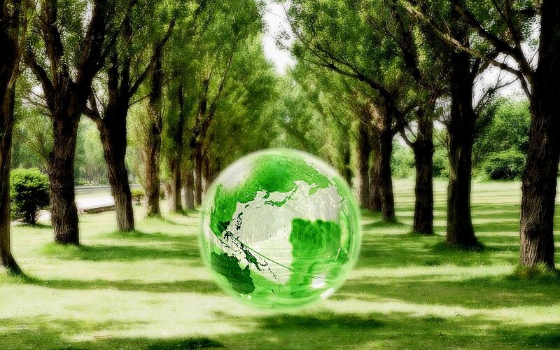 Green Earth in a Forest