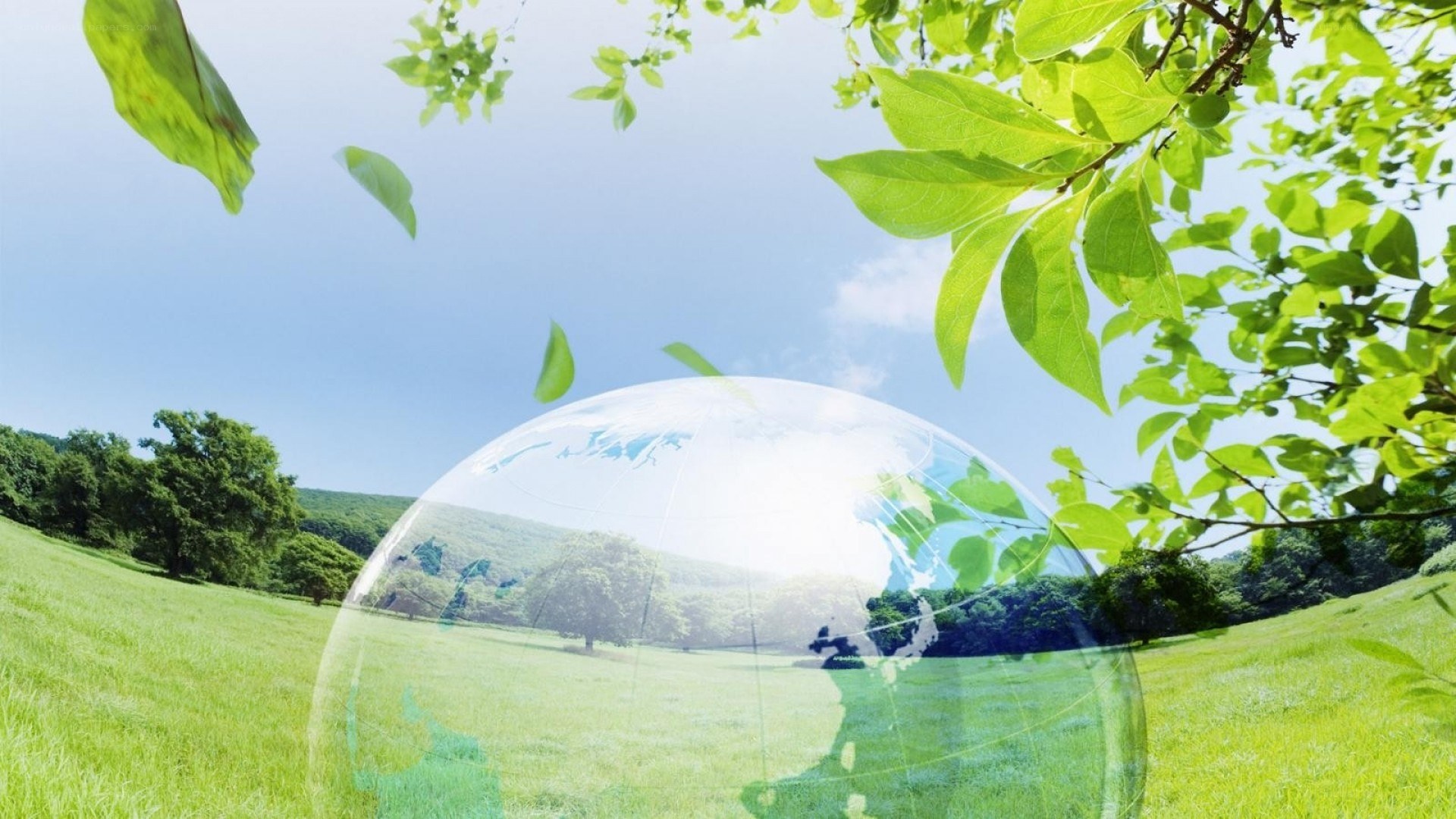 green earth in nature