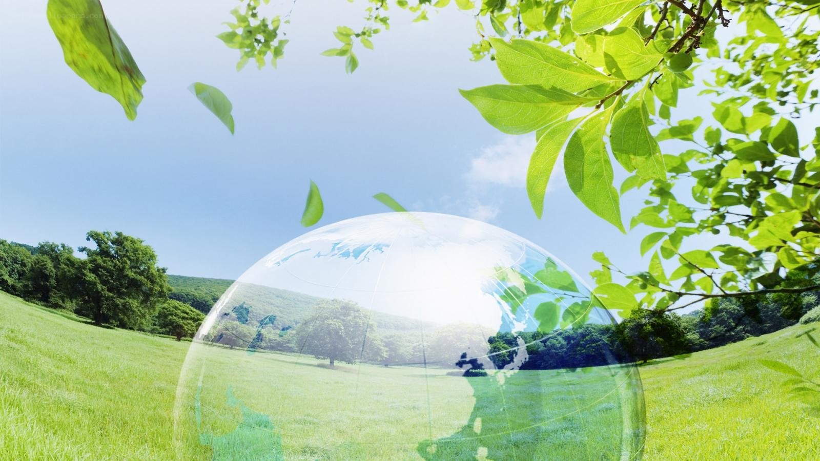 green earth in nature