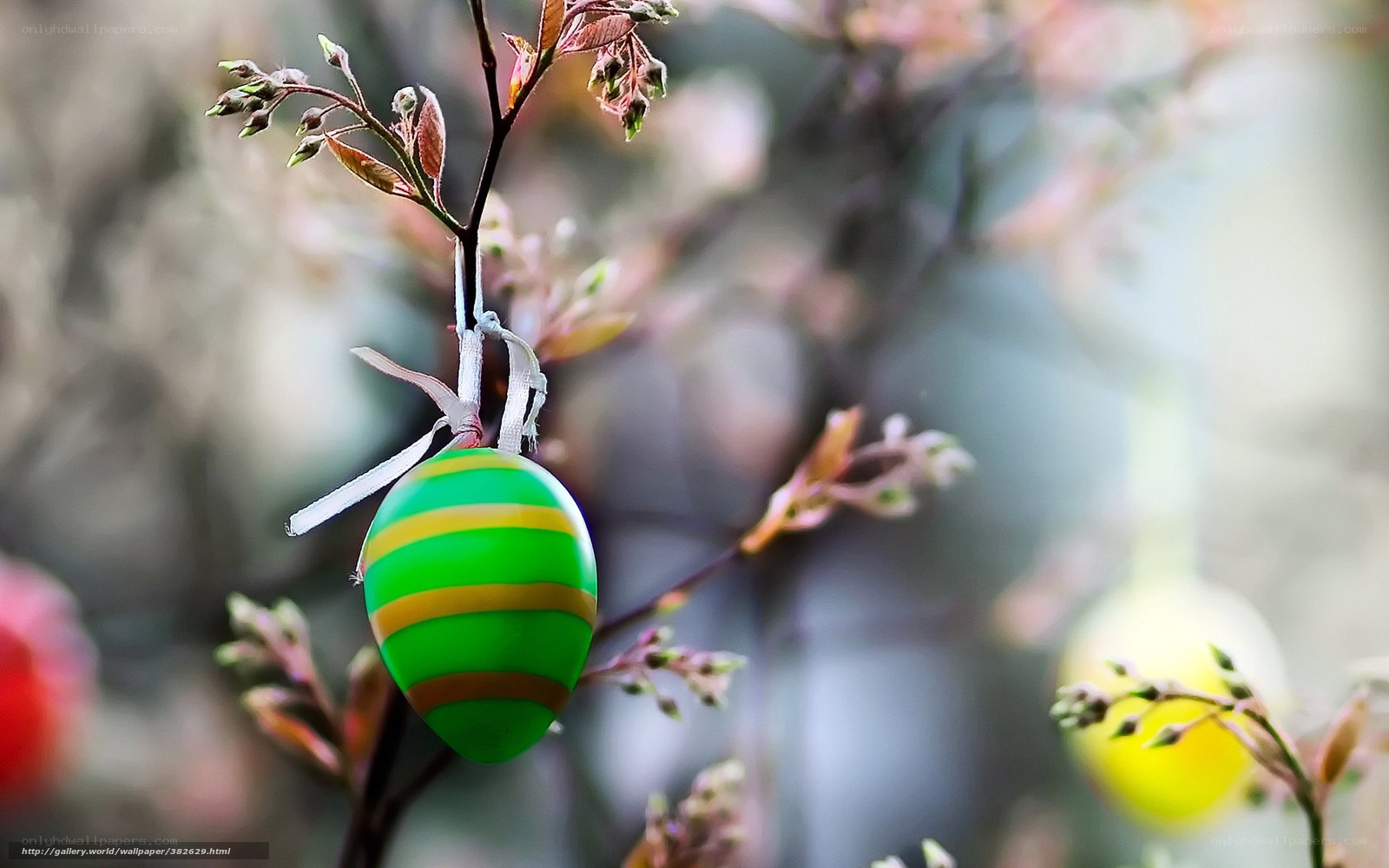 Green Easter egg on branch
