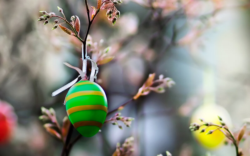 Green Easter Egg — Serene