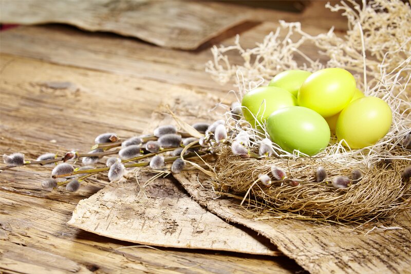 Green Eggs in Nest