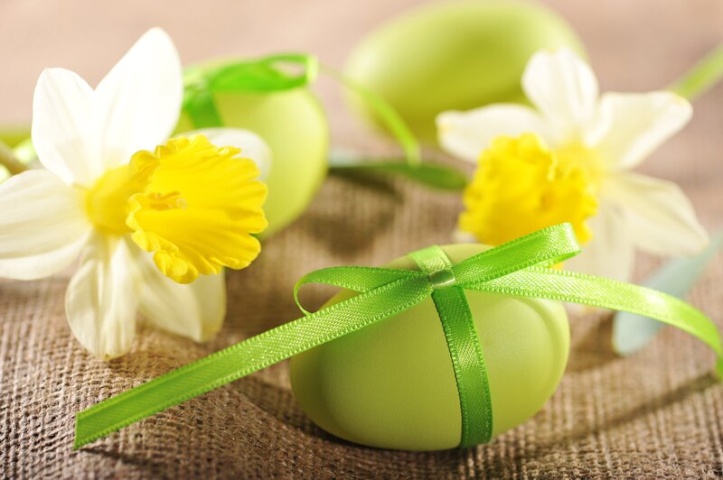 Green Eggs with Daffodils