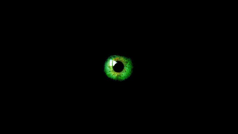 green eye in darkness