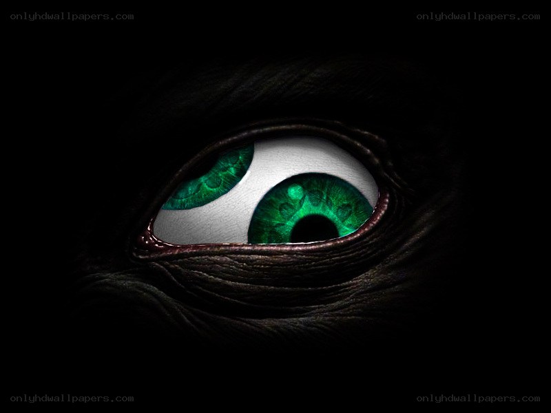 green eye in darkness