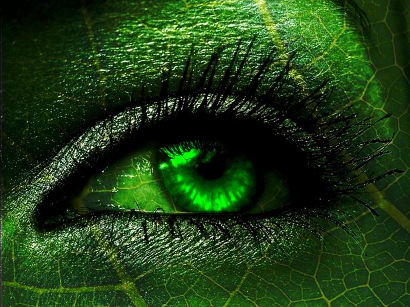 green eye on leaf texture