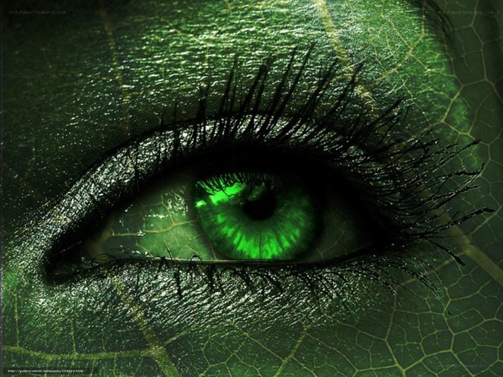 green eye on leaf texture