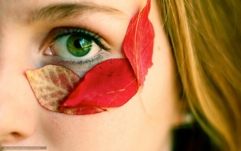 green eye with autumn leaves
