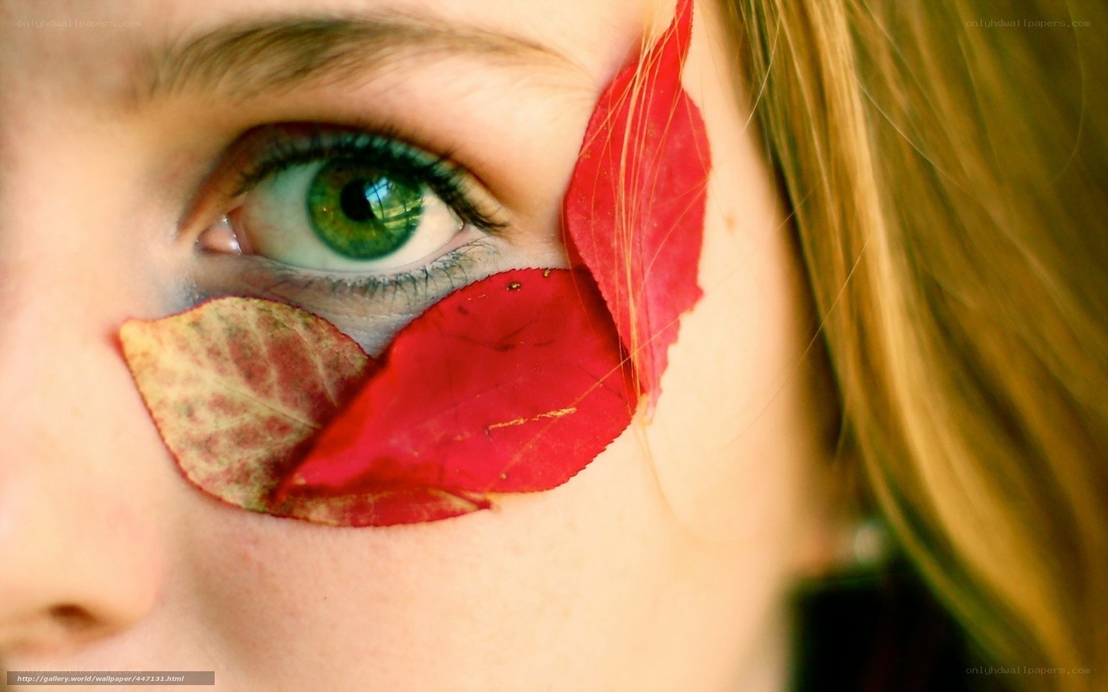 green eye with autumn leaves