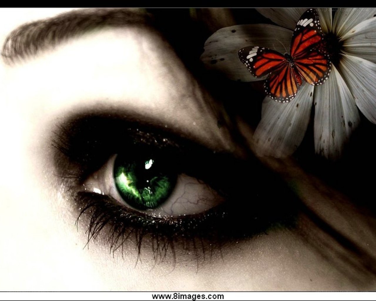 green eye with butterfly