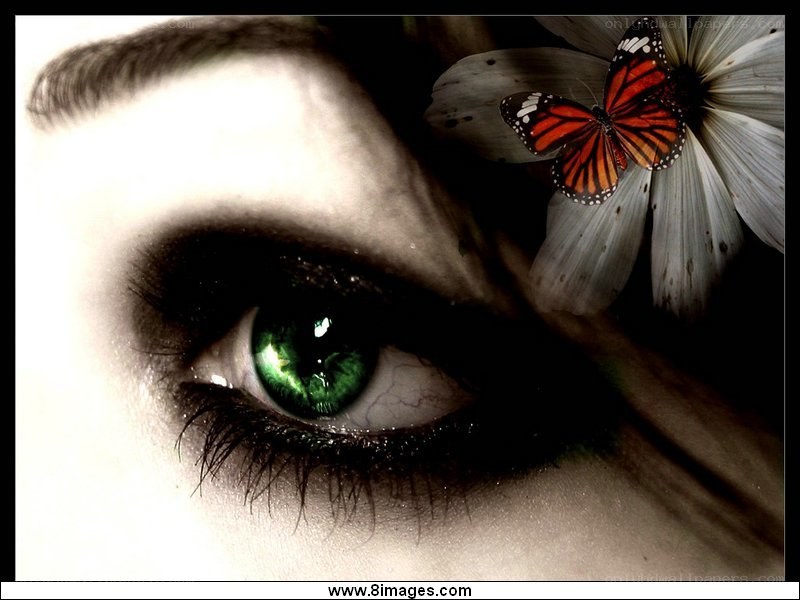 green eye with butterfly