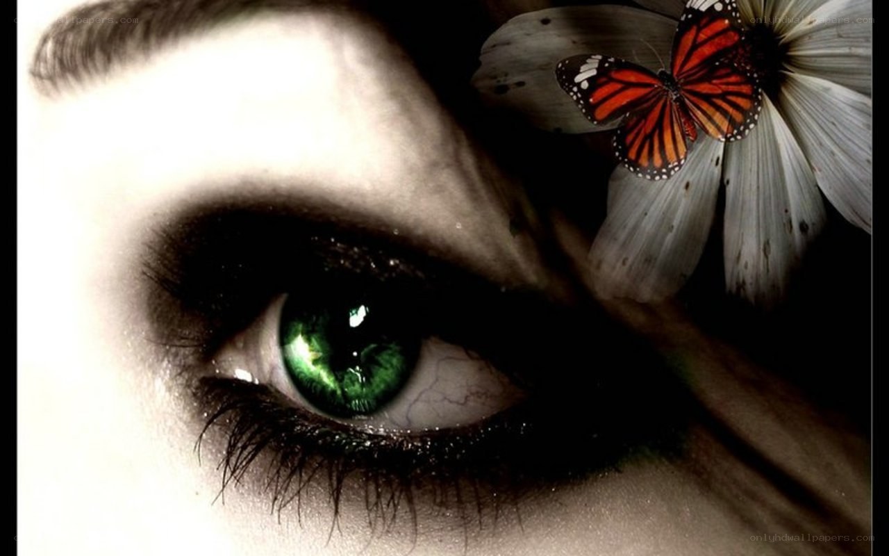 green eye with butterfly