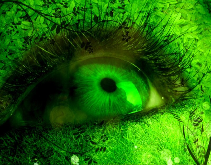Green Eye with Foliage