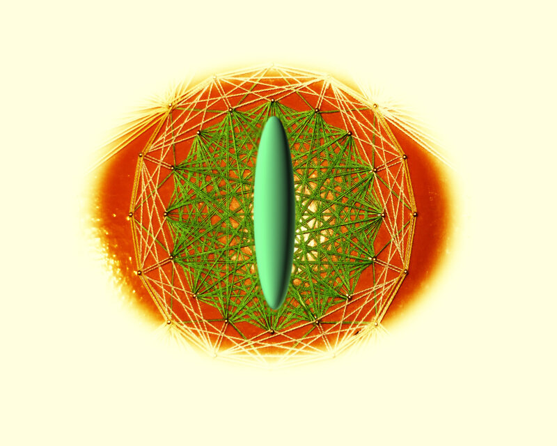 green eye with geometric pattern