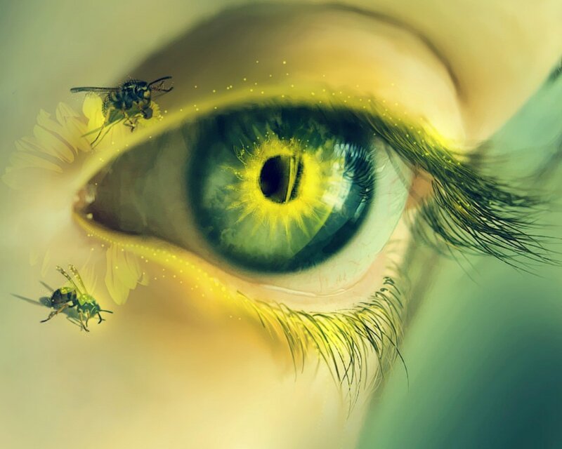 Green Eye with Insects — Dreamy