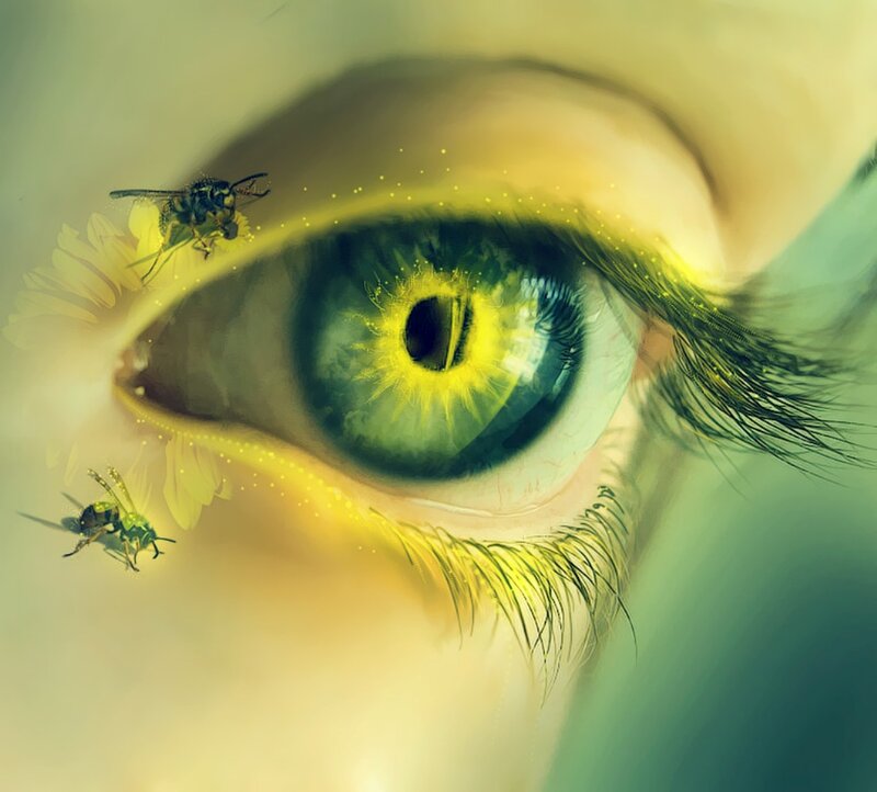 Green Eye with Insects