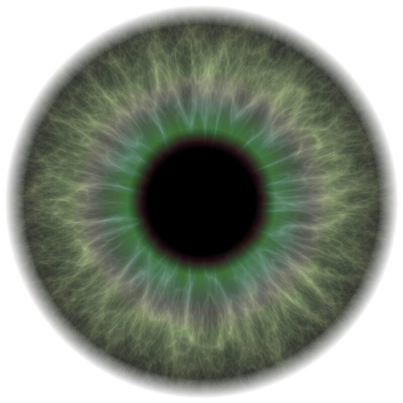 green eye with intricate patterns