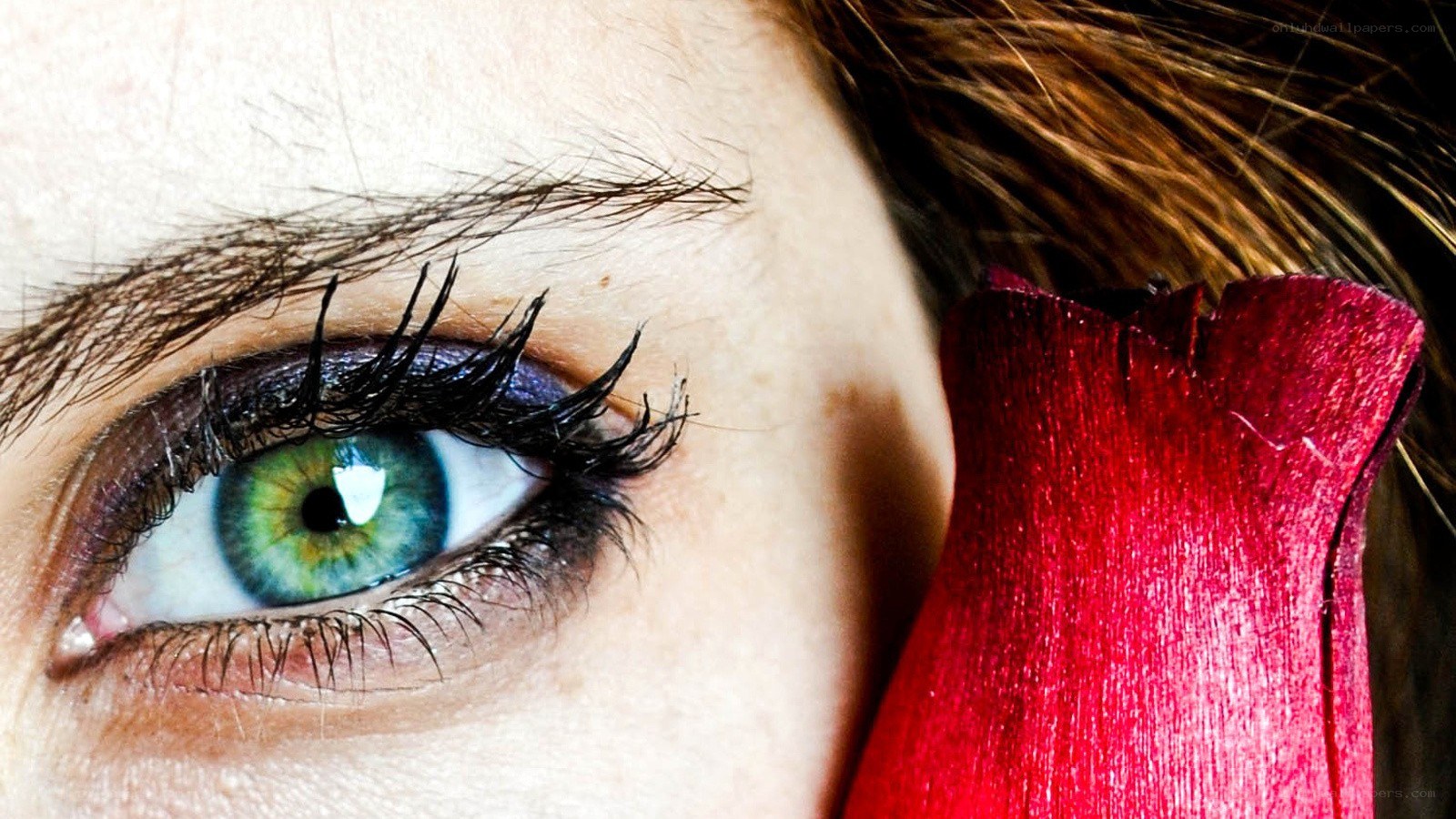 green eye with red flower