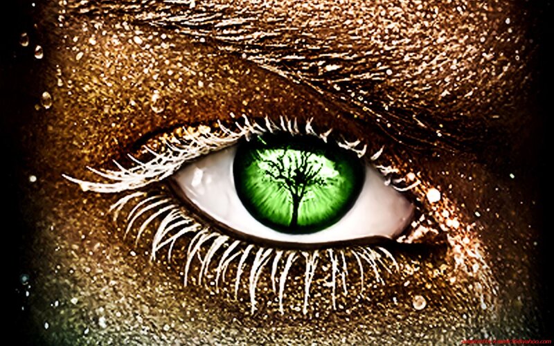 green eye with tree iris