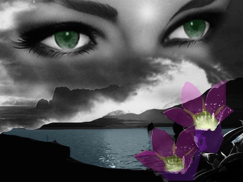 green eyes and purple flowers