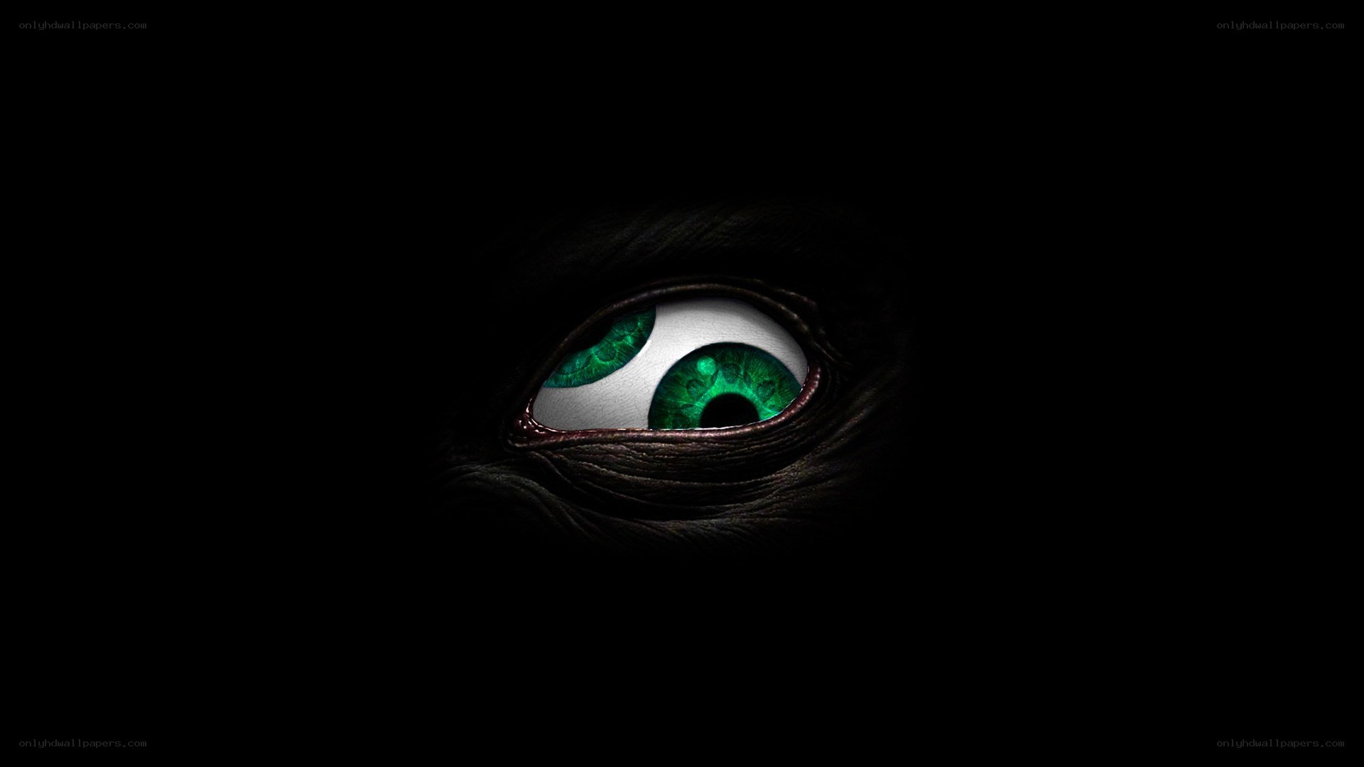 green eyes in darkness