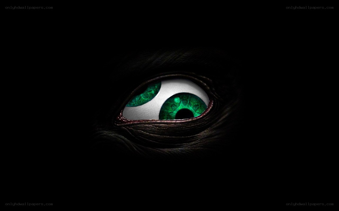 green eyes in darkness