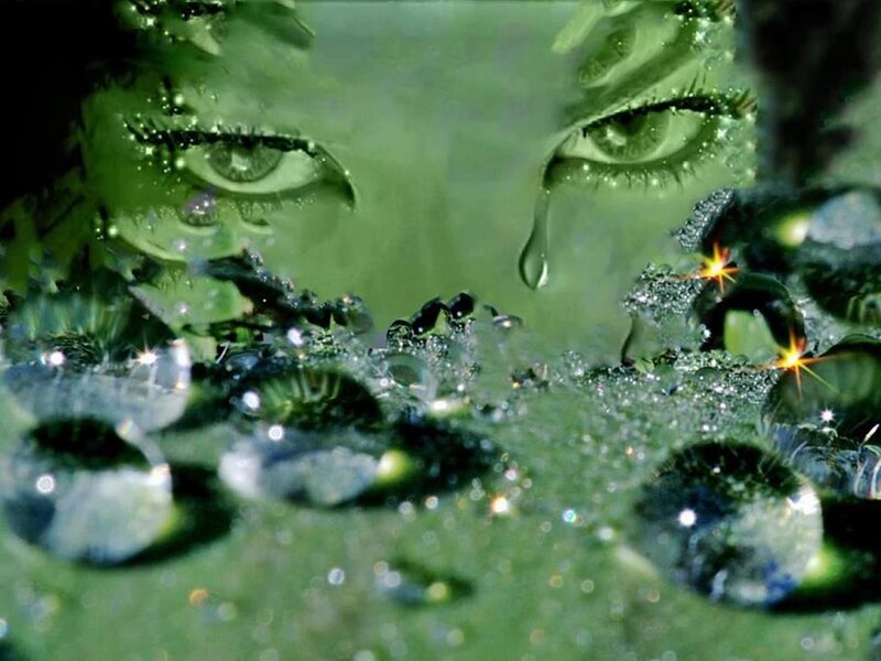 Green Eyes with Water Droplets