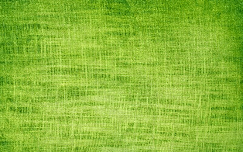 Green Fabric Texture — Neutral