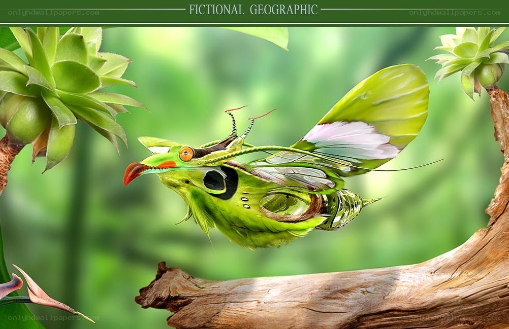 Green fantasy bird in flight