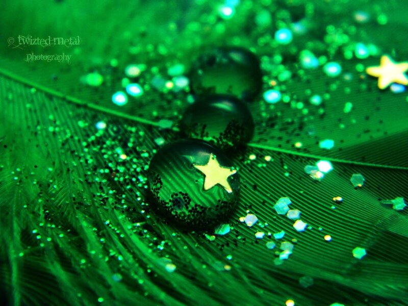 Green Feather with Water Droplets