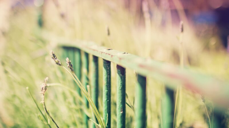 Green Fence in Grass