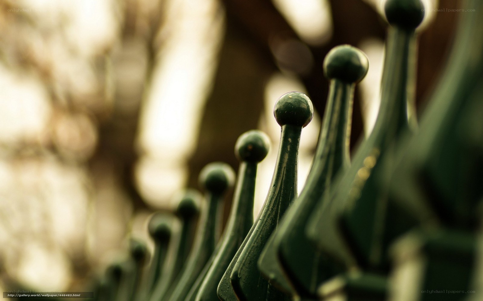 Green fence spikes in sunlight
