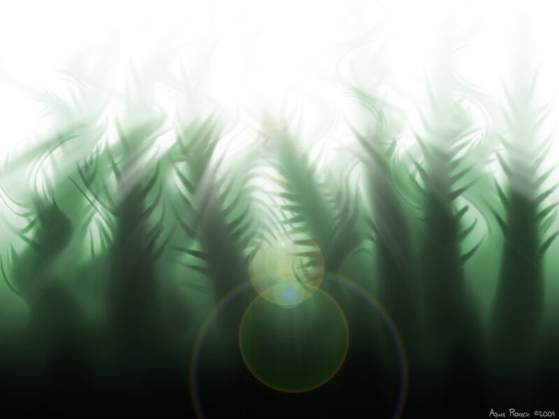 Green Ferns in Sunlight