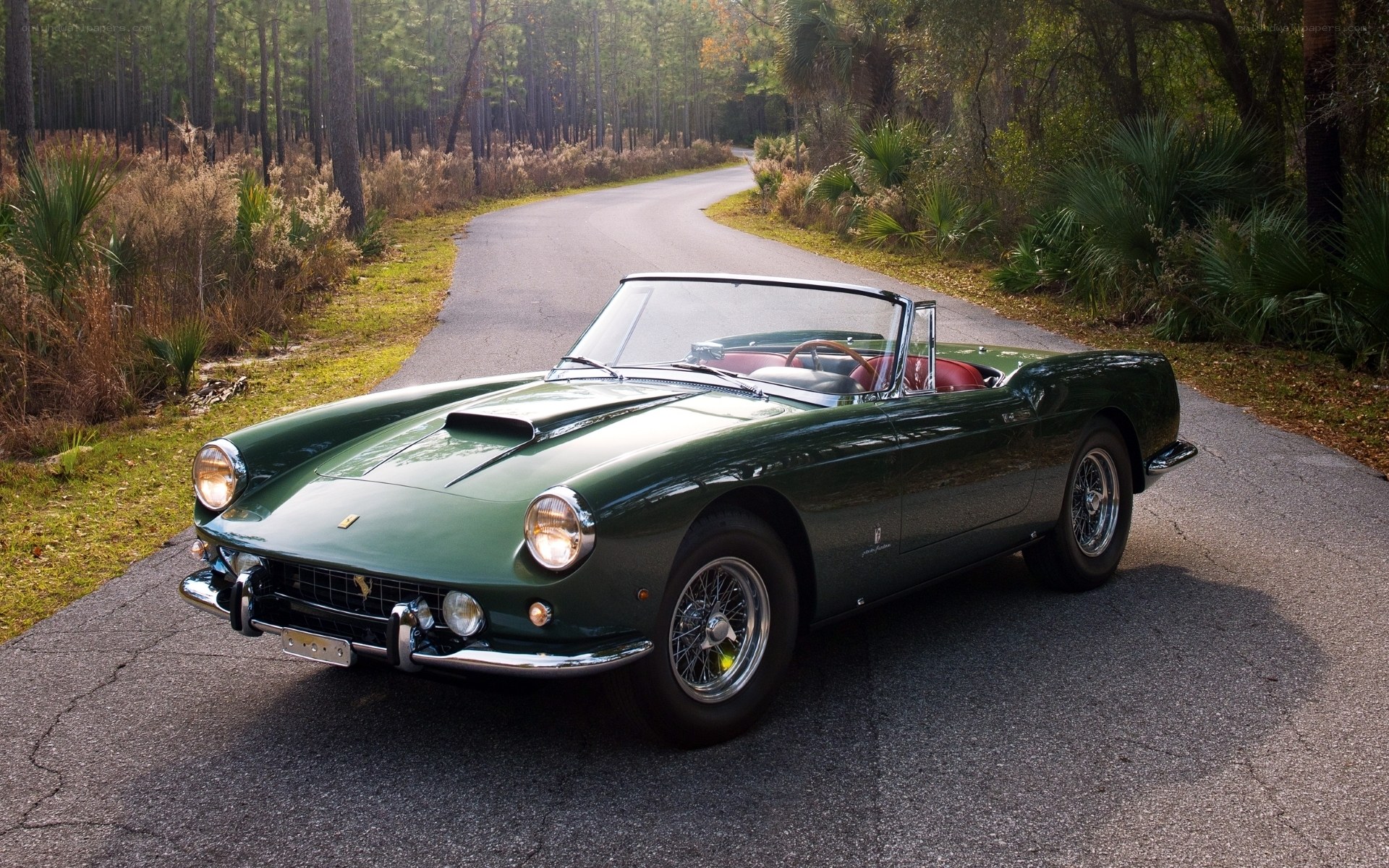 Green Ferrari on a forest road